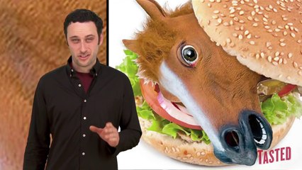 Hottest Must-Have! Horse Meat Test Kits