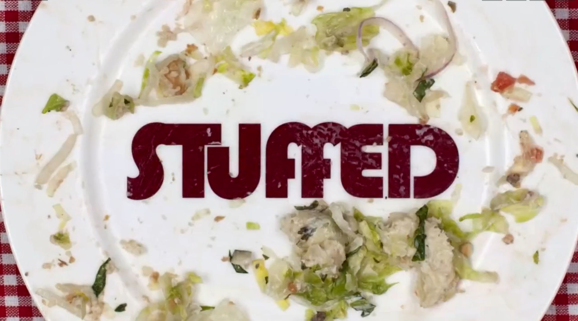 Meet Contestants - STUFFED 1 - video Dailymotion