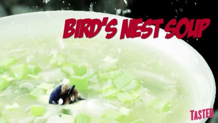 Bird's Nest Soup aka Sexy Bird Saliva Soup - Why Would You Eat That?