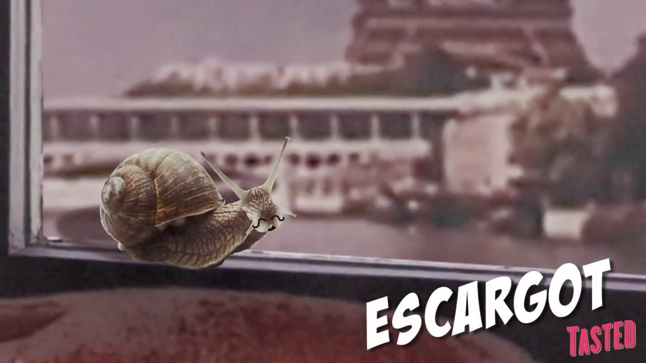 Slimy Brined Snails aka Escargot - Why Would You Eat That?