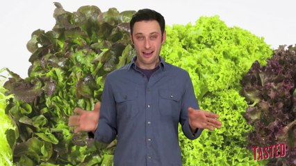 Leafy Greens Are Out to Kill You!