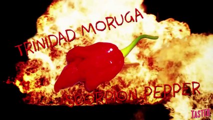 Trinidad Scorpion Moruga aka the Hottest Pepper on Earth - Why Would You Eat That?