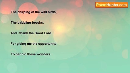 Michael Kersting - The Beauty Of Nature