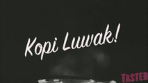 Kopi Luwak aka Cat Poop Coffee