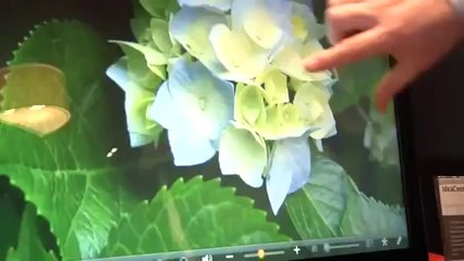 CES 2011 Hands-On: Lenovo U1, Slate, and U260