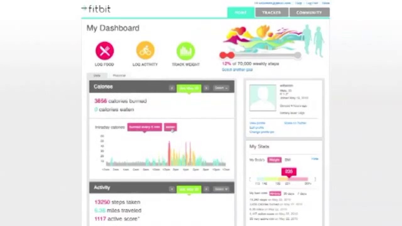 First Look at the Fitbit Tracker