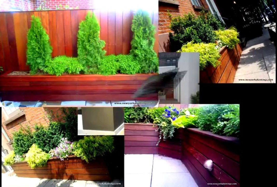 Making Masterpieces in New York While Maintaining Cleanliness by New York Plantings