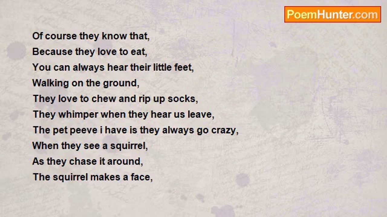 Mariah Clary - My Puppies