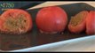 Recette de Tomates farcies végétariennes - 750 Grammes