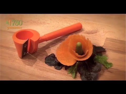 Réaliser une fleur de carotte - 750 Grammes