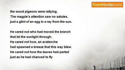 Dan Reynolds - 'Good Morning Mr Magpie'