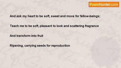 Varanasi Ramabrahmam - NATURE THE TEACHER: LESSONS FROM TREE AND RIVER