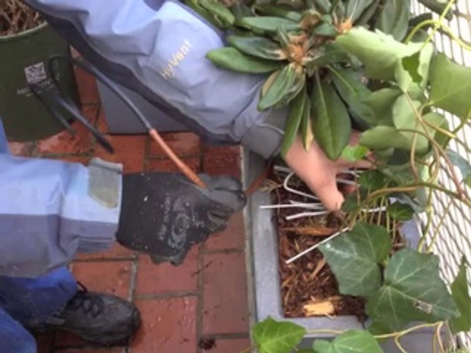 New York Plantings Irrigation Division's Installation of Drip Irrigation Systems