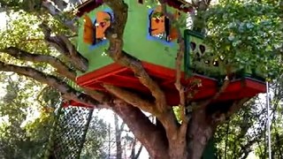 New York Plantings' Tree House Concept in Garden Designs for Residential and Commercial Gardens