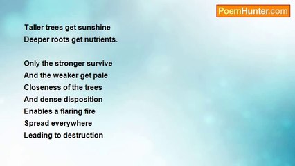 Tirupathi Chandrupatla - Competition in the Forest