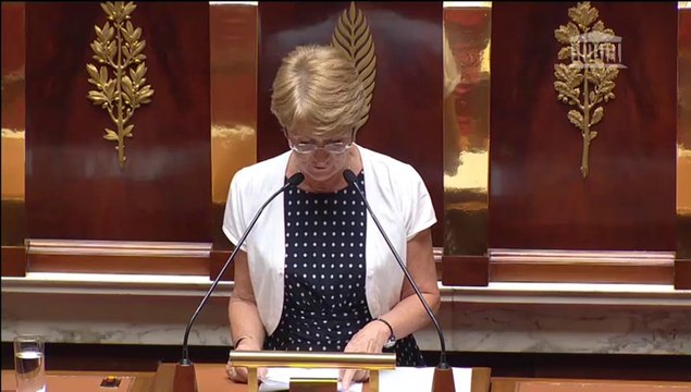 RÉFORME DES PROCÉDURES DE RÉVISION ET DE RÉEXAMEN D’UNE CONDAMNATION PÉNALE (deuxième lecture) - Mercredi 11 Juin 2014