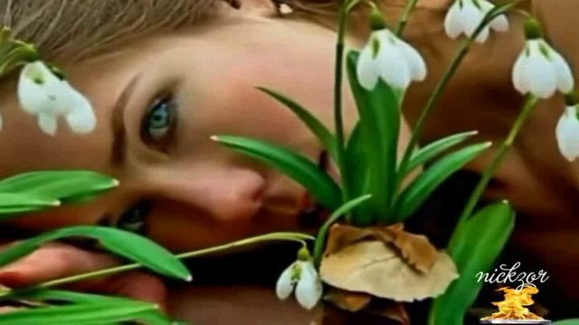 Melihat Gülses - Mehtaba Bürünmüş Gece