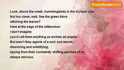 David Bottoms - A Walk to Carter's Lake