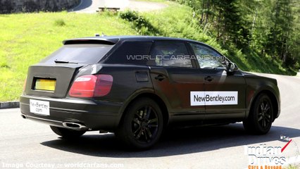 CHECKOUT | Bentley SUV / Crossover Spied For First Time !