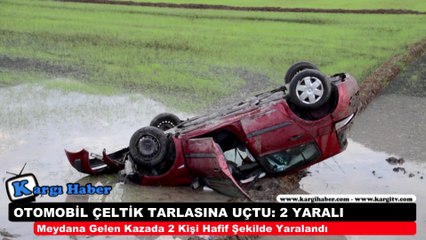 OTOMOBİL ÇELTİK TARLASINA UÇTU - 2 YARALI - www.kargihaber.com