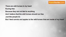 Aldo Kraas - WILD HORSES IN MY HEART