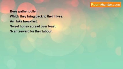 Iain Mackay - A Tanka Poem