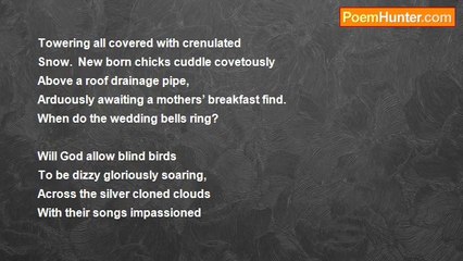 Lisa Rhodes - When Do The Wedding Bells Ring