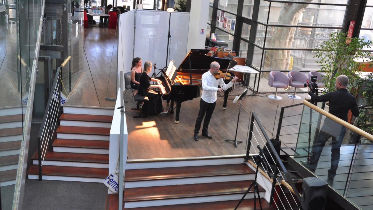 Beethoven - Sonate Primavera- Le Printemps - 2me mvt