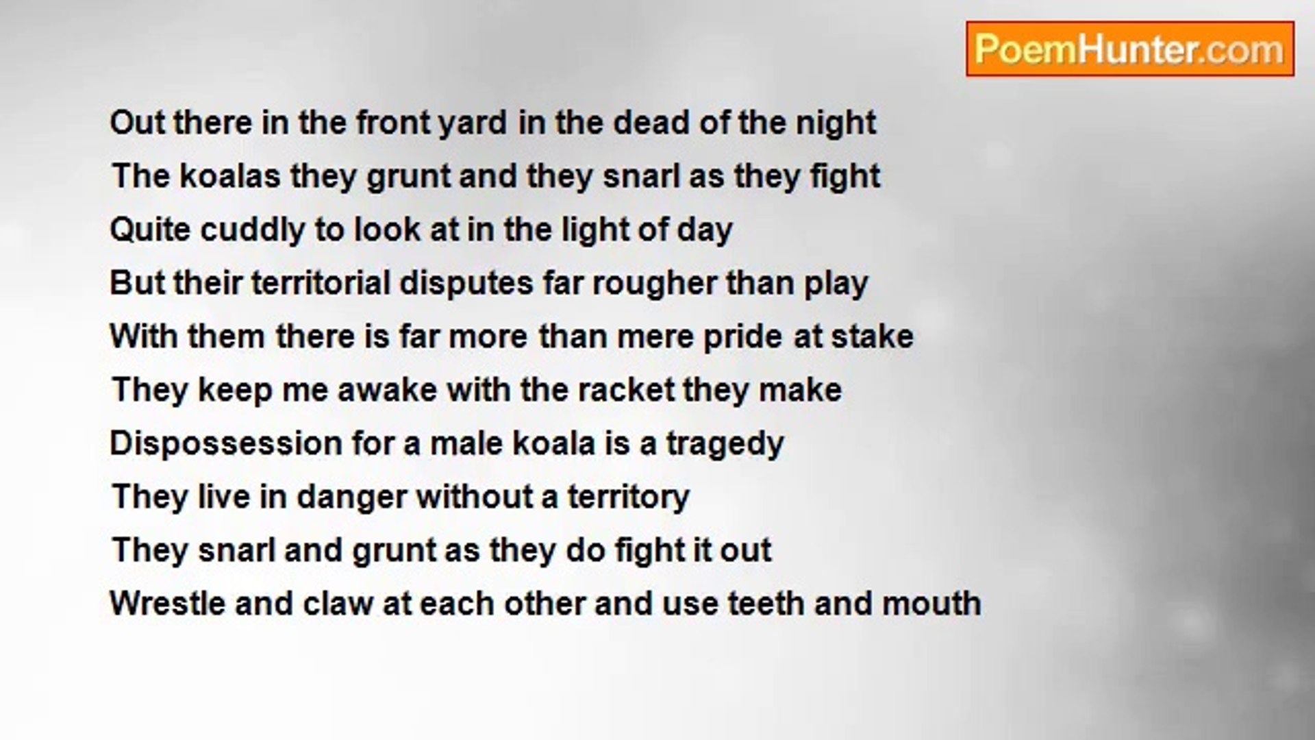 ⁣Francis Duggan - On Koalas Fighting