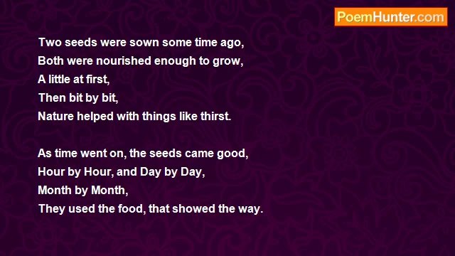 Barney Ballabay - Growing Pains & Growing Pines.