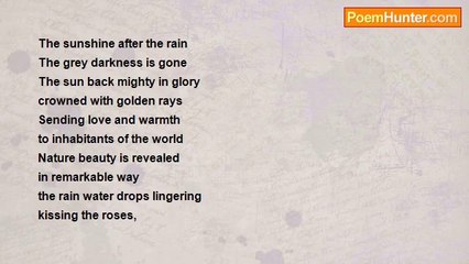 sherif monem - The Sunshine after The Rain