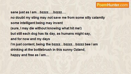 Raj Arumugam - happy song of a bee at the bottlebrush tree