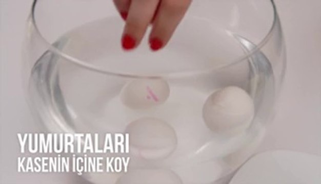 Yumurtanın Tazeliğini Nasıl Anlarsın - Pratik Bilgi