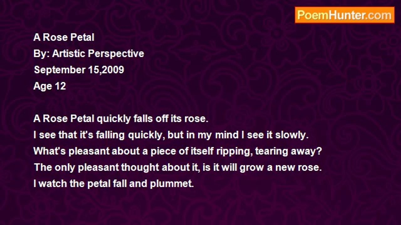 Artistic Perspective - A Rose Petal