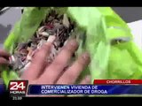 Chorrillos: capturan a comercializadores de droga con un kilo y medio de marihuana