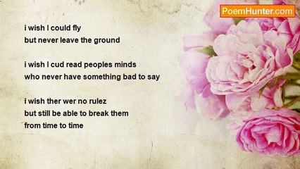 Sam Wilson - I wish i could fly