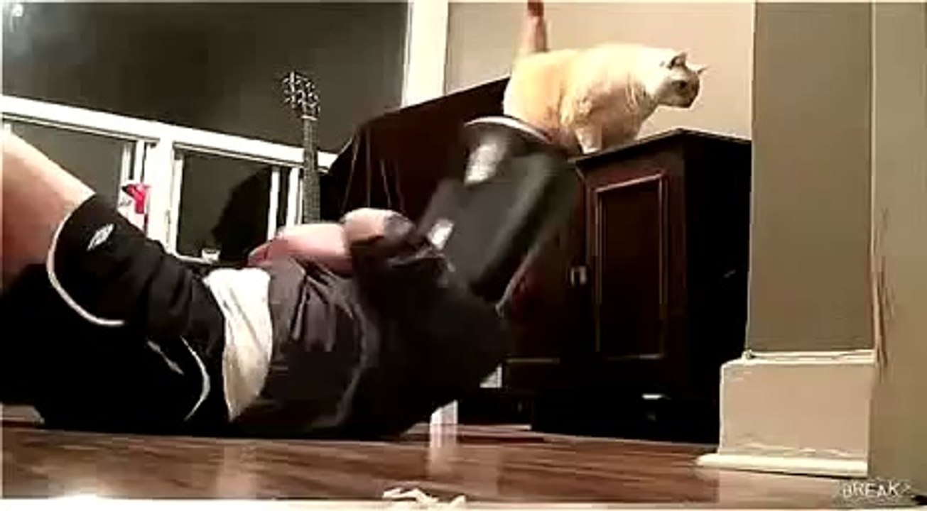 Fette Killerkatze - www.wegschmeiss.de