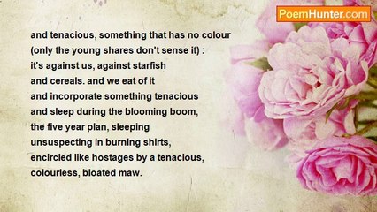 Hans Magnus Enzensberger - To All Telephone Subscribers