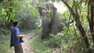 Un touriste stoppe un éléphant qui charge