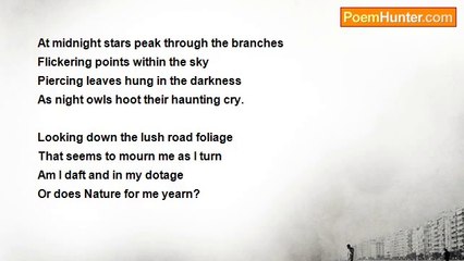 David McLansky - Searching for Laurel