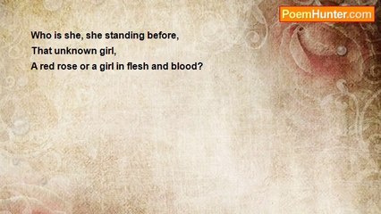 Bijay Kant Dubey - A Beauty To See Or A Red Rose?