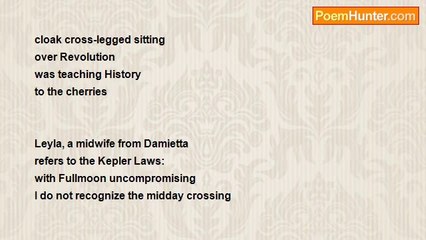 Giorgos Vlachos 2 - LEYLA