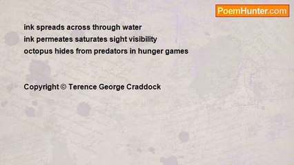 Terence G. Craddock - Inky Camouflage Safety