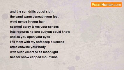 David Taylor - The Beach