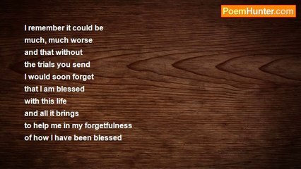 David Taylor - Sorrows' Show