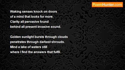 David Taylor - Waking Sleep