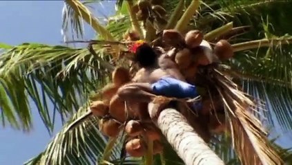 Ben Cropp: Islands Lost In Time