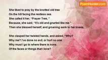 Mary Naylor - THE PRAYER TREE