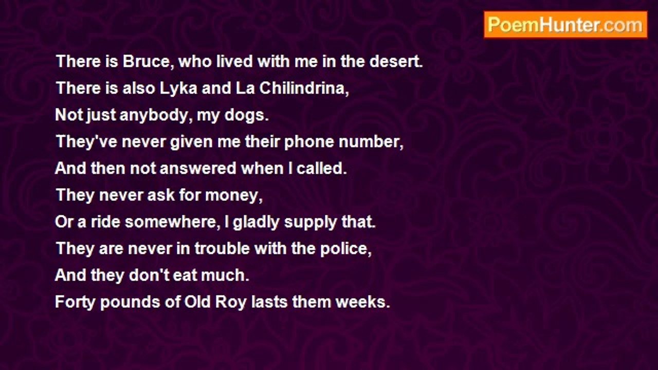 Juan Olivarez - The More I know People, The More I Love My Dogs