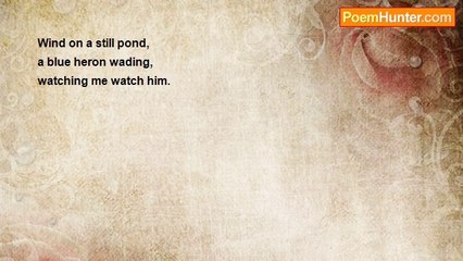 Sonny Rainshine - Haiku: Still Water